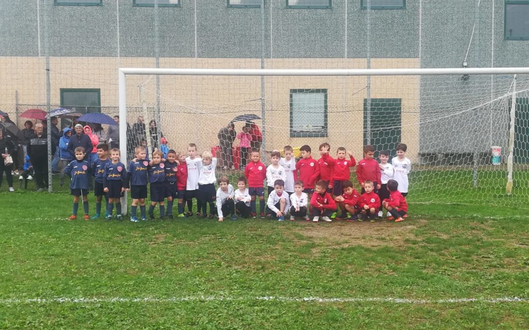 GIORNALINO DEL SETTORE GIOVANILE N.6